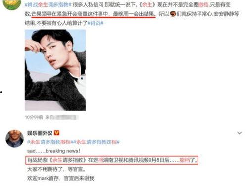 肖战杨紫路人被爆料视频,真相与争议并存
